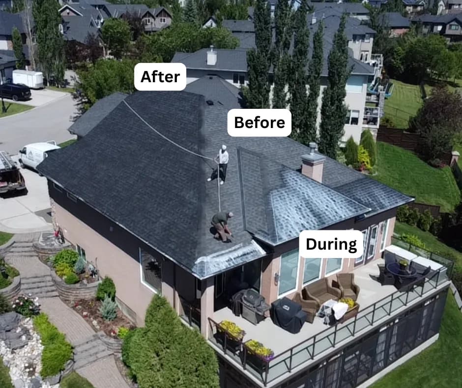 Aerial view of a roof mid-treatment, with the before, during and after sections visible on the same roof